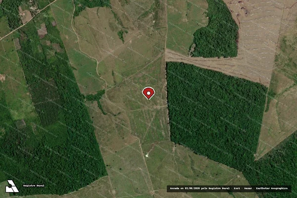 Imagem de satélite — Embargo IBAMA — Infração da Flora — Aurora do Pará/PA