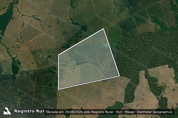 Imagem de satélite de Infração da Flora em Lábrea - AM