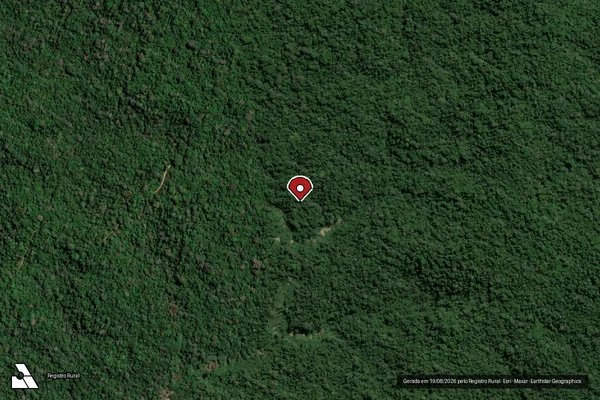 Imagem de satélite de Infração Ambiental em Apuí - AM (marcador da localização)