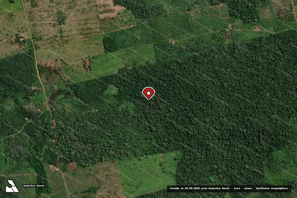 Imagem de satélite de Infração da Flora em Santarém - PA (marcador da localização)