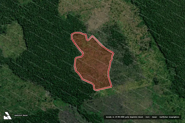 Imagem de satélite de Infração Ambiental em Humaitá - AM