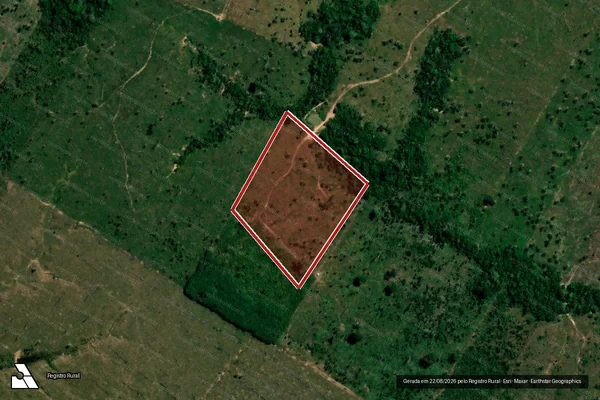 Imagem de satélite de Infração da Flora em Porto Velho - RO