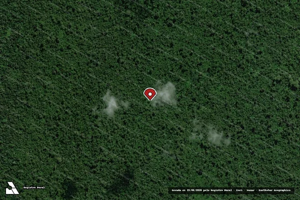 Imagem de satélite de Infração da Flora em Brasília - DF (marcador da localização)