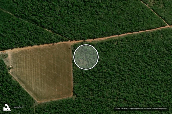 Imagem de satélite — Embargo IBAMA — Infração Ambiental - Tapurah/MT