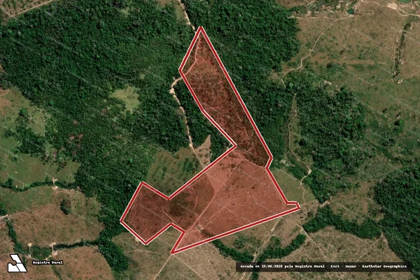 Imagem de satélite de Infração da Flora em Nova Bandeirantes - MT