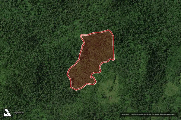 Imagem de satélite de Infração da Flora em São Félix do Xingu - PA