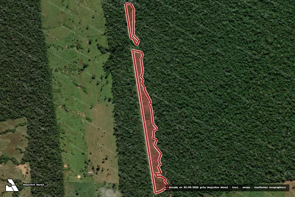 Imagem de satélite — Embargo IBAMA — Infração da Flora — Porto Velho/RO