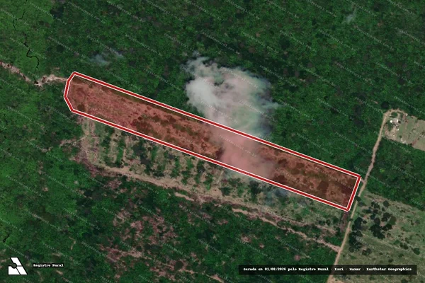 Imagem de satélite — Embargo IBAMA — Infração da Flora — Paranaíta/MT