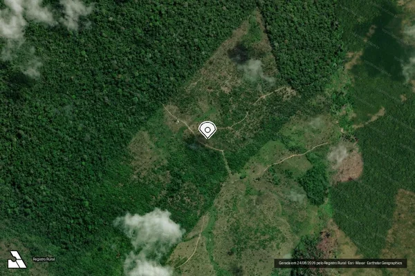 Imagem de satélite de Infração Ambiental em Pacajá - PA (marcador da localização)