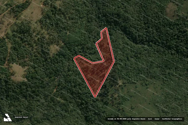 Imagem de satélite de Infração Ambiental em Pinhão - PR