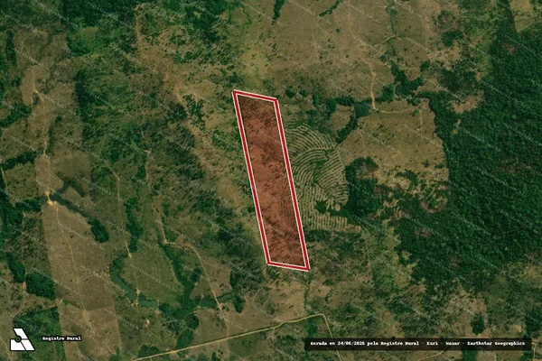 Imagem de satélite — Embargo IBAMA — Infração da Flora - Buritis/RO