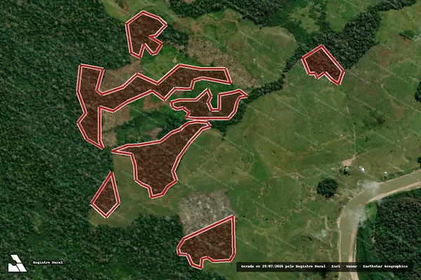 Imagem de satélite de Infração da Flora em Feijó - AC