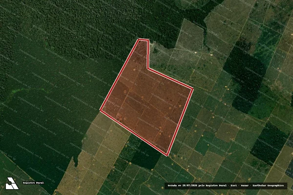 Imagem de satélite de Infração Ambiental em Porto Velho - RO