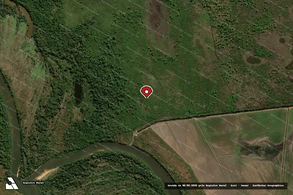 Imagem de satélite de Infração Ambiental em Dueré - TO (marcador da localização)