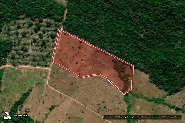 Imagem de satélite de Infração Ambiental em Aripuanã - MT