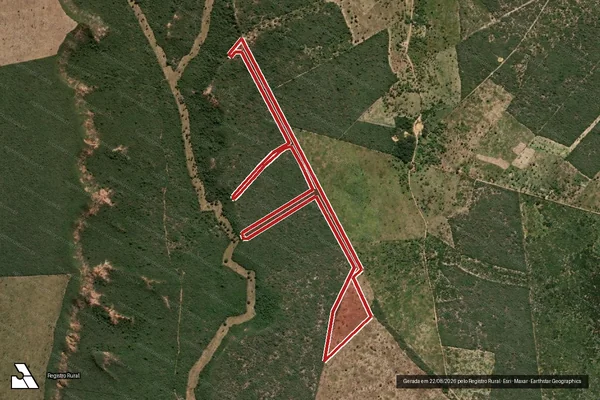 Imagem de satélite de Infração da Flora em Cícero Dantas - BA