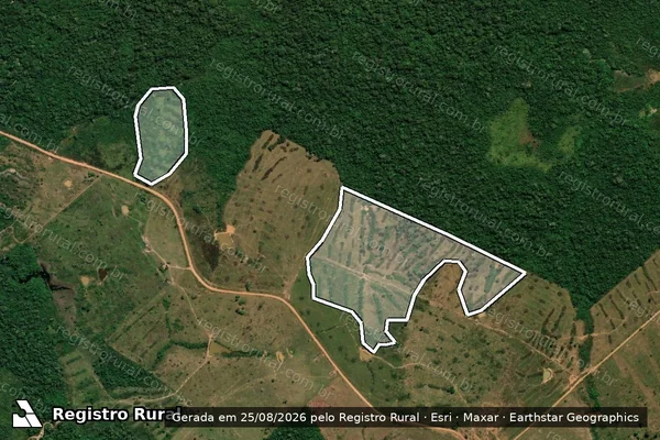 Imagem de satélite de Infração da Flora em Lábrea - AM