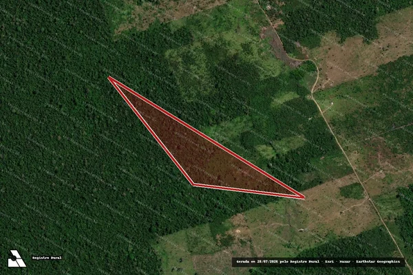 Imagem de satélite de Infração da Flora em Uruará - PA