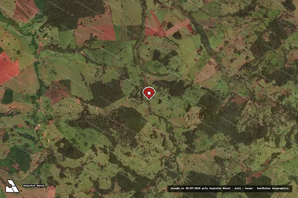 Imagem de satélite de Infração Ambiental em Jaraguá - GO (marcador da localização)