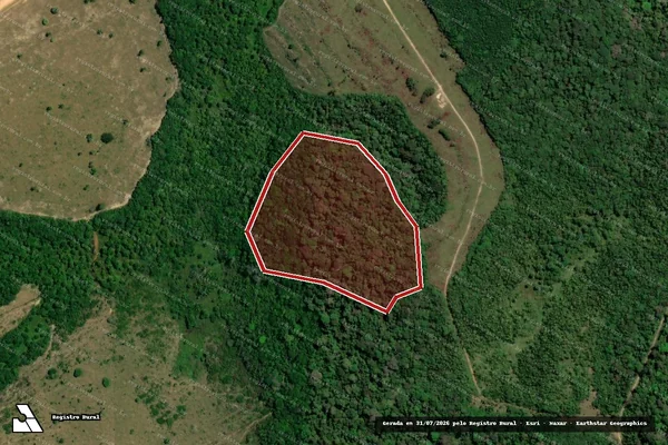 Imagem de satélite de Infração Ambiental em Apuí - AM