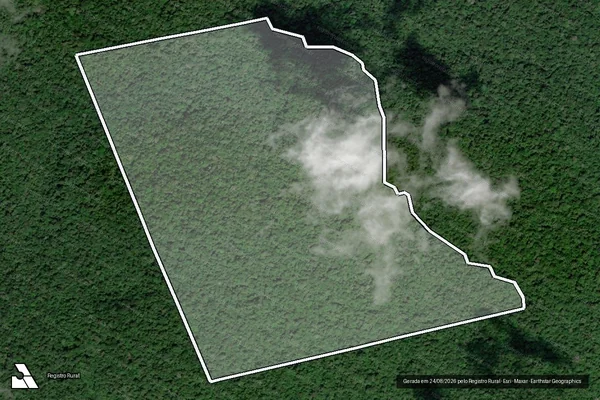 Imagem de satélite — Embargo IBAMA — Infração da Flora - Portel/PA