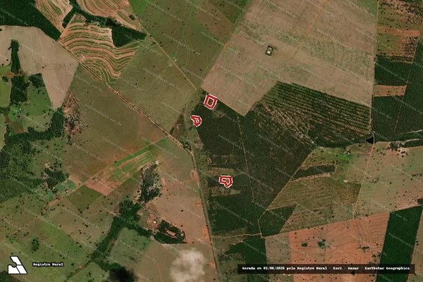 Imagem de satélite de Infração da Flora em Campo Grande - MS