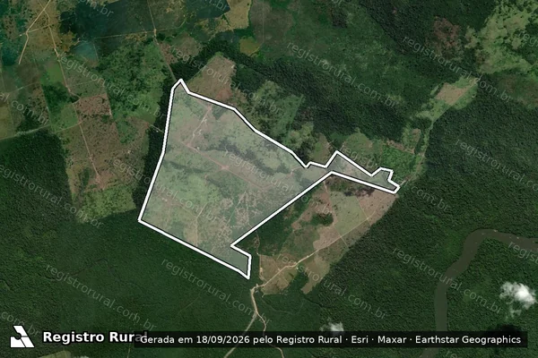 Imagem de satélite — Embargo IBAMA — Infração Ambiental - Altamira/PA