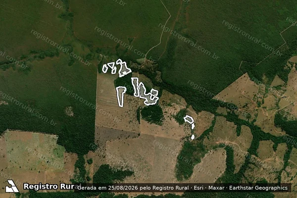Imagem de satélite de Infração da Flora em Salto do Céu - MT