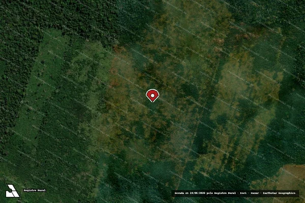 Imagem de satélite de Infração Ambiental em Buritis - RO (marcador da localização)