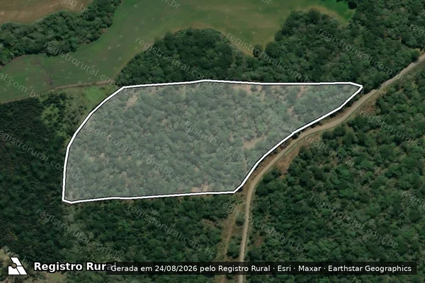 Imagem de satélite de Infração da Flora em São Mateus do Sul - PR