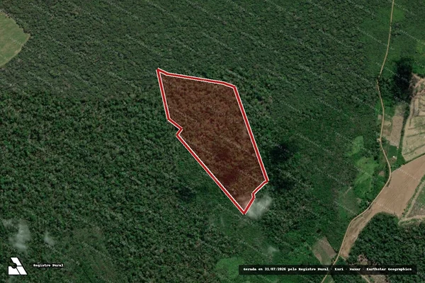 Imagem de satélite de Infração da Flora em Mojuí dos Campos - PA