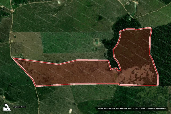 Imagem de satélite de Infração da Flora em Portel - PA