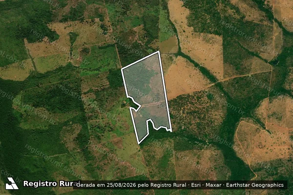 Imagem de satélite de Infração da Flora em Serra Nova Dourada - MT