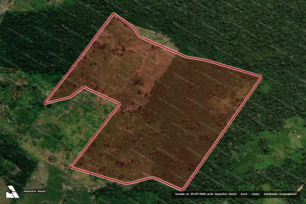 Imagem de satélite de Infração da Flora em Feijó - AC
