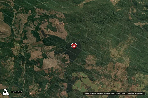 Imagem de satélite de Infração Ambiental em Inácio Martins - PR (marcador da localização)