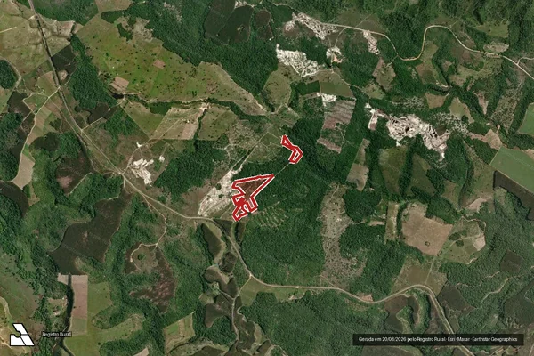 Imagem de satélite de Infração Ambiental em Santa Cruz Cabrália - BA