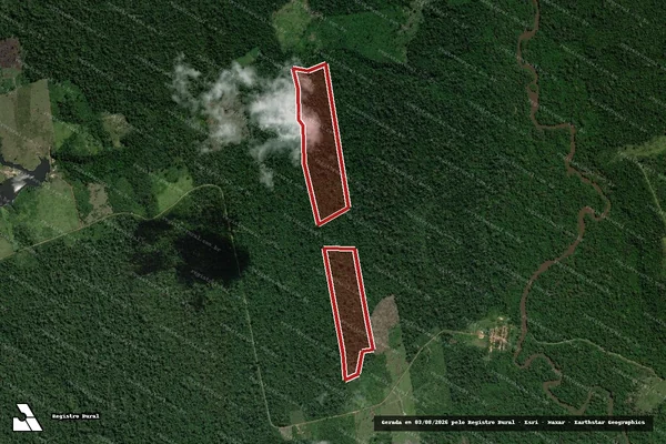 Imagem de satélite de Infração da Flora em Placas - PA