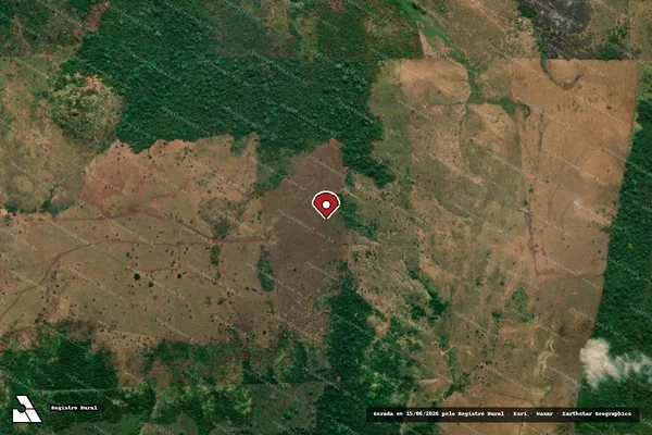 Imagem de satélite de Infração da Flora em Brasília - DF (marcador da localização)