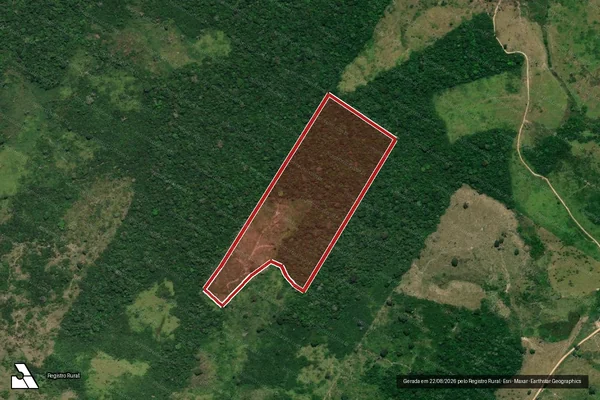 Imagem de satélite — Embargo IBAMA — Infração da Flora - Anapu/PA