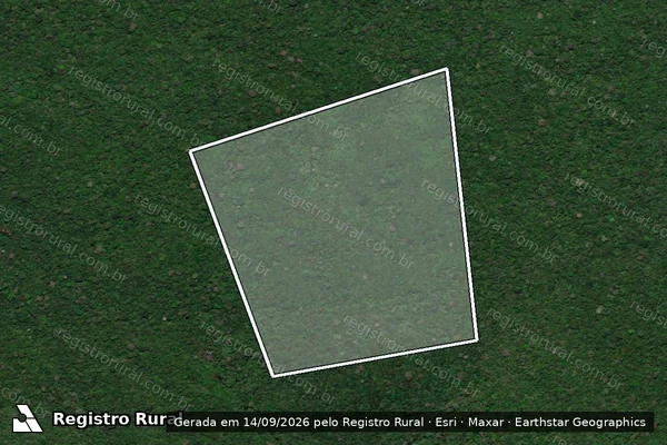 Imagem de satélite de Infração Ambiental em Rurópolis - PA