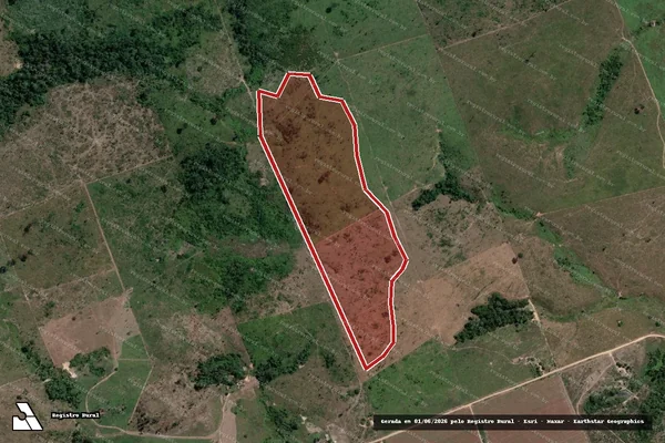 Imagem de satélite de Infração da Flora em Novo Progresso - PA