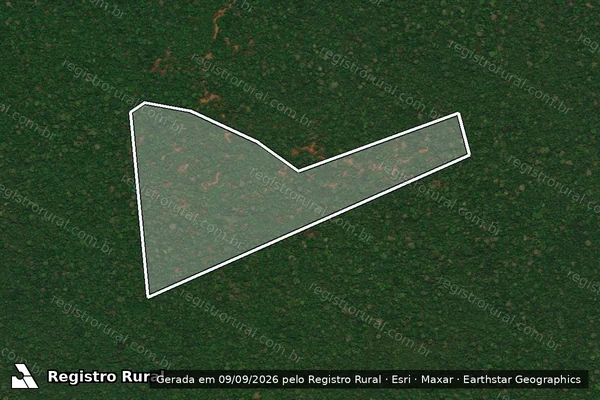 Imagem de satélite de Infração da Flora em Apuí - AM