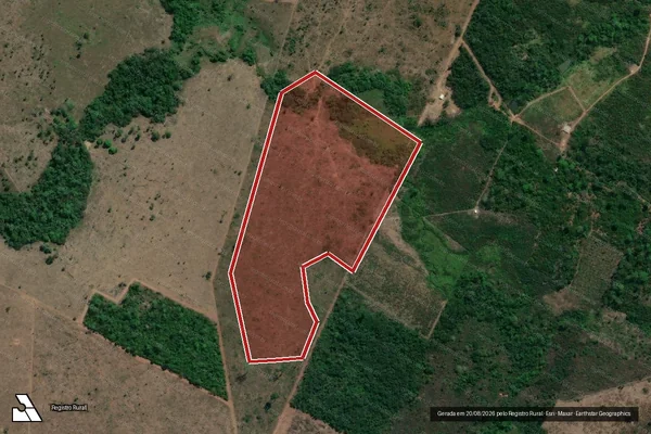 Imagem de satélite de Infração da Flora em Altamira - PA
