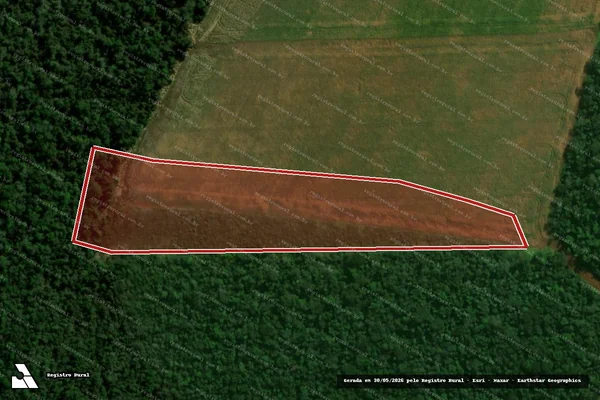 Imagem de satélite de Infração da Flora em Aral Moreira - MS