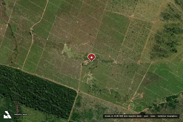 Imagem de satélite de Infração da Flora em Buritis - RO (marcador da localização)