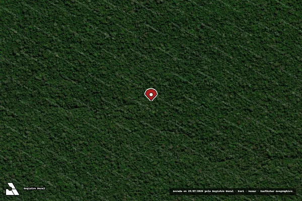 Imagem de satélite de Infração Ambiental em Juína - MT (marcador da localização)