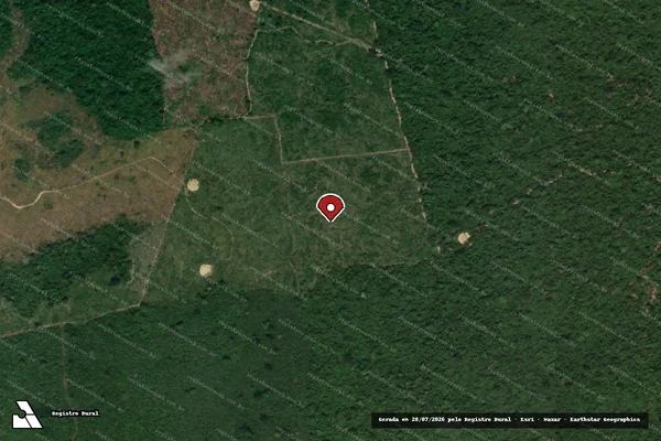 Imagem de satélite de Infração da Flora em Brasil Novo - PA (marcador da localização)