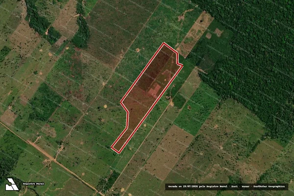Imagem de satélite de Infração Ambiental em Porto Velho - RO