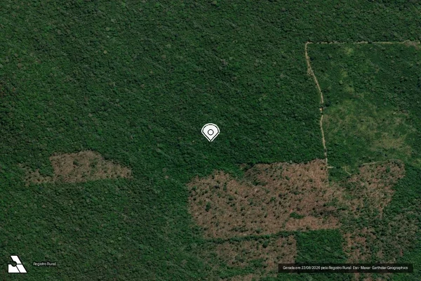 Imagem de satélite de Infração Ambiental em Rurópolis - PA (marcador da localização)