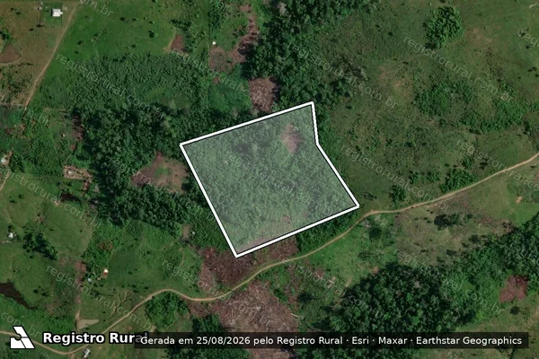 Imagem de satélite de Infração da Flora em Feijó - AC